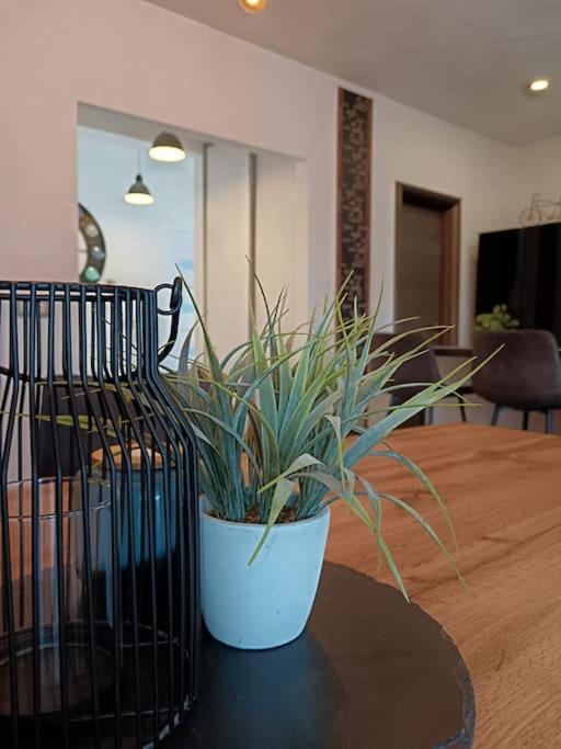Holiday&Suite Klanac Vir Dış mekan fotoğraf