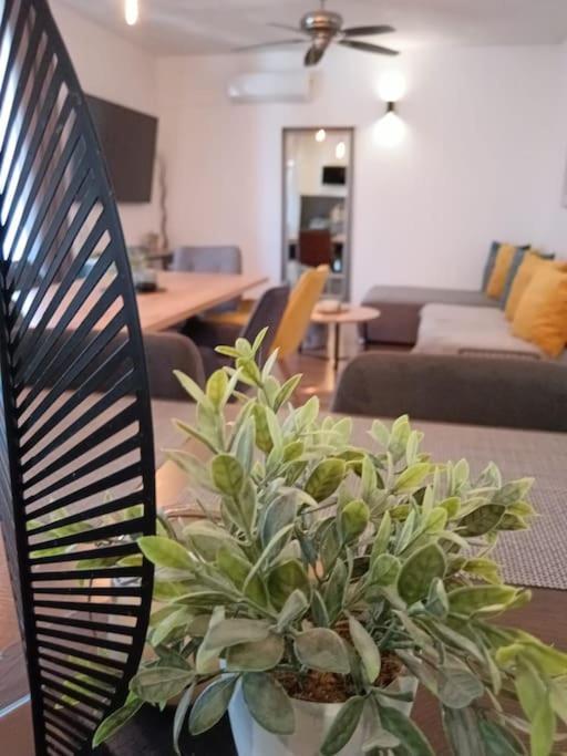 Holiday&Suite Klanac Vir Dış mekan fotoğraf